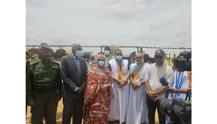 The afforestation marketing campaign goals to revive 2,500 hectares of Media desert land