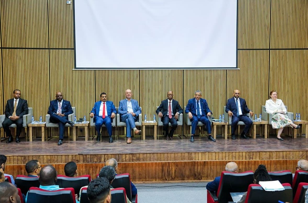 وزارة المالية: الإيرادات غير الضريبية بلغت 29 مليار أوقية جديدة العام الماضي