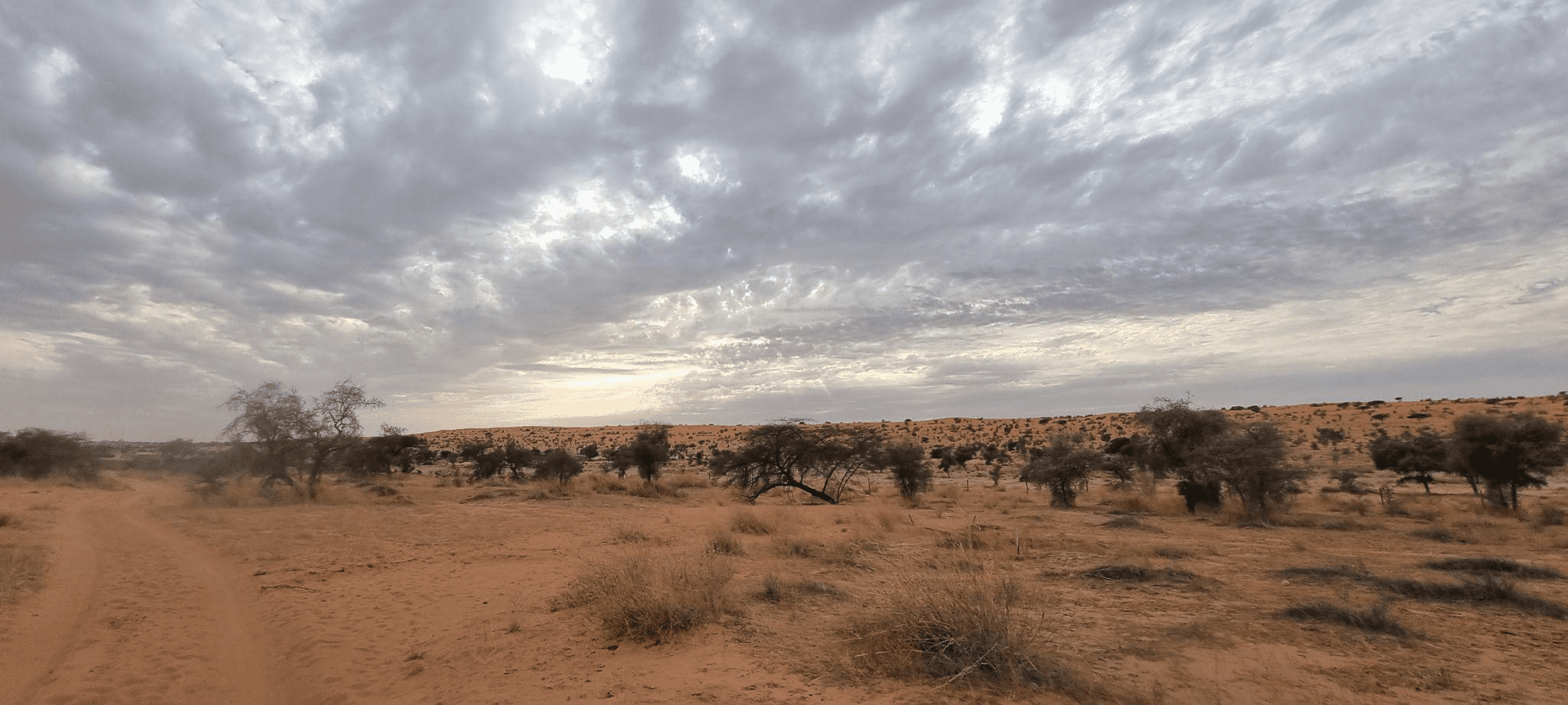 الأرصاد: ارتفاع درجات الحرارة بعدة ولايات وأمطار محتملة جنوبا خلال 48 ساعة